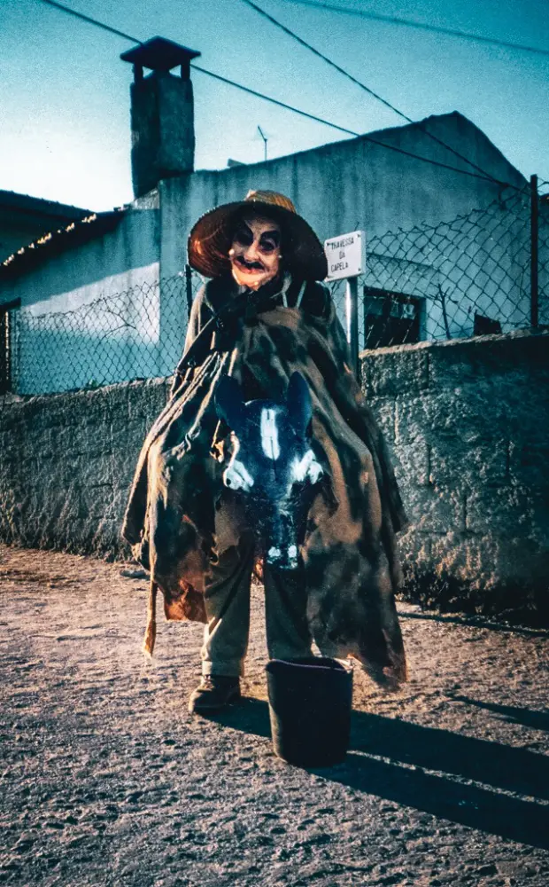 Cavalinho em Castedo do Douro