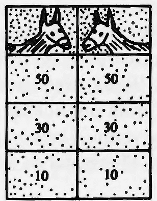 jogo do burro com patelas de borracha, Alentejo 